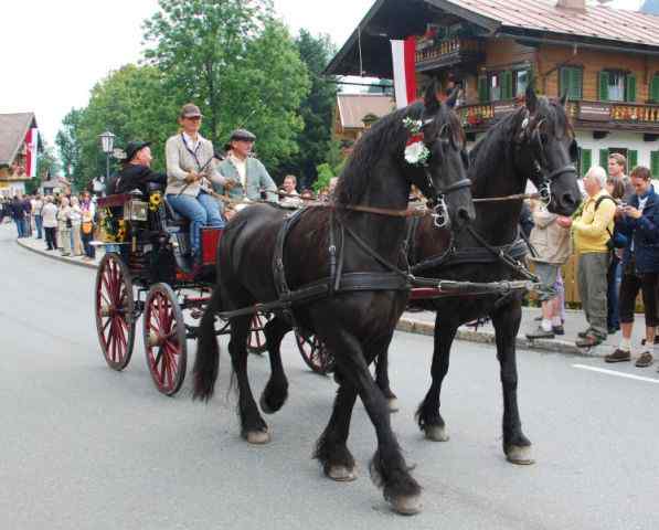 Bezirksmusikfest Going 2010
