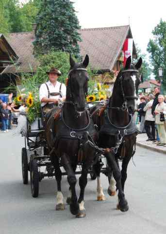 Bezirksmusikfest Going 2010