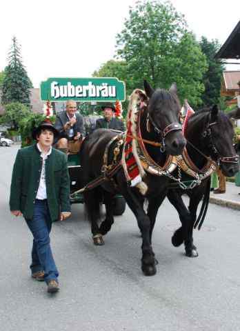 Bezirksmusikfest Going 2010