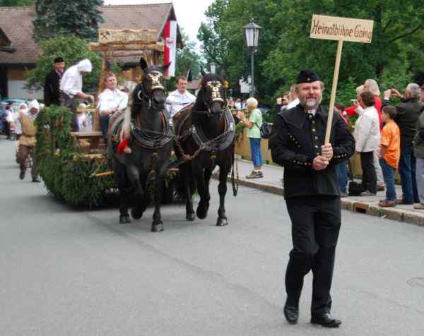 Bezirksmusikfest Going 2010