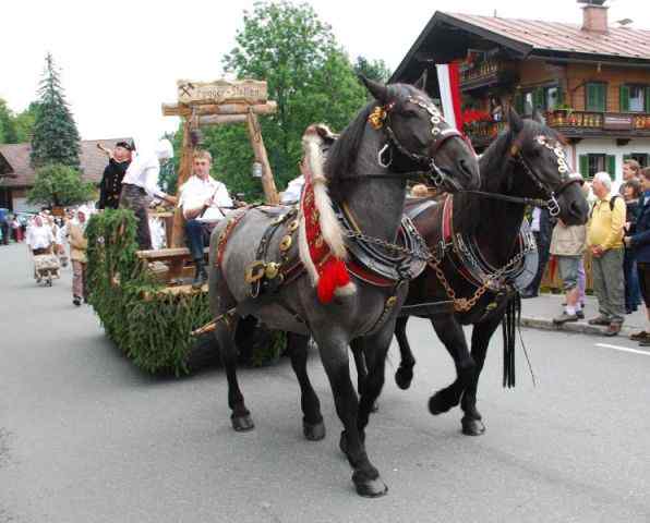 Bezirksmusikfest Going 2010
