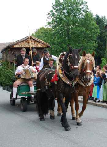 Bezirksmusikfest Going 2010
