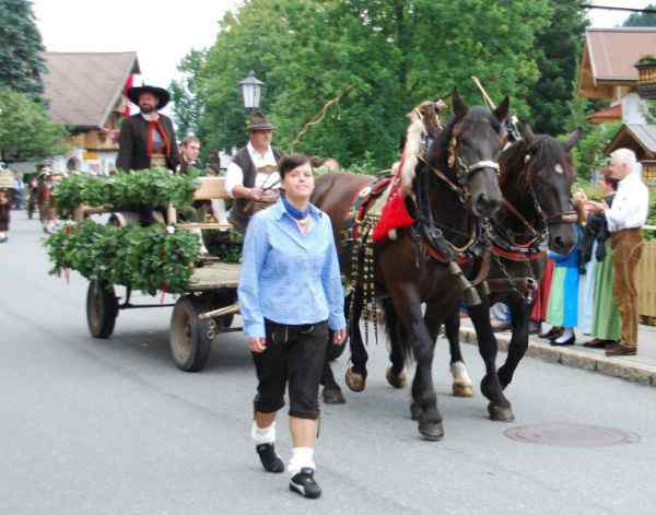 Bezirksmusikfest Going 2010