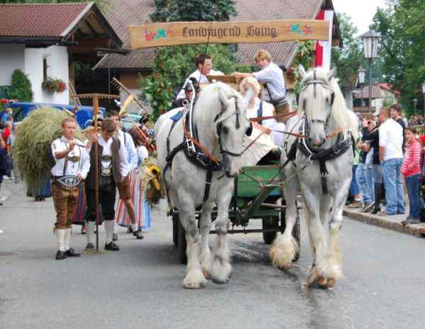 Bezirksmusikfest Going 2010