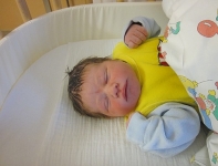 ::: Felix ist da!